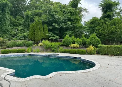 Affordable Lawn Care