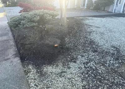 Affordable Lawn Service