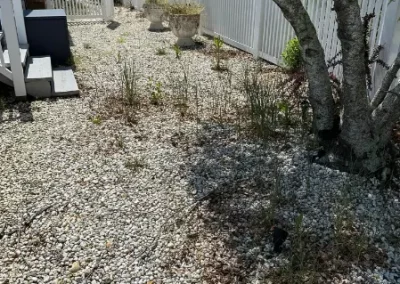 Lawn Care (4)