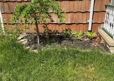 Lawn Service (1)