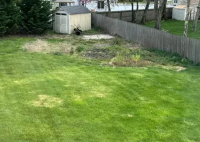 Lawn Service (3)