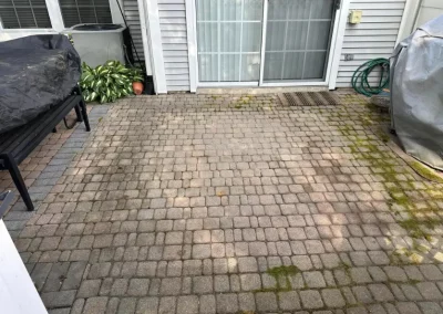 Professional Lawn