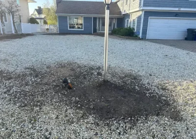 Professional Lawn Service