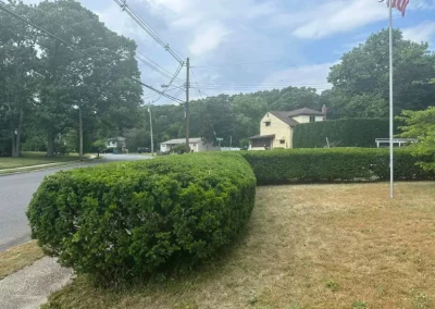 Quality Lawn Care Service