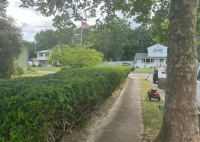 Quality Lawn Mowing (2)