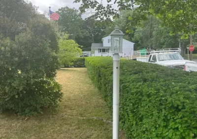 Quality Lawn Mowing (3)